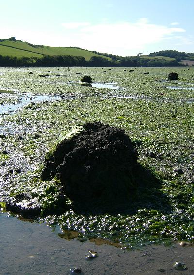 Maritime Heritage and Archeology Cornish Lighthouses and Canon Ball Images