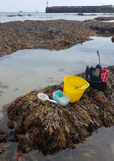 Marine / intertidal sampling methods images UK