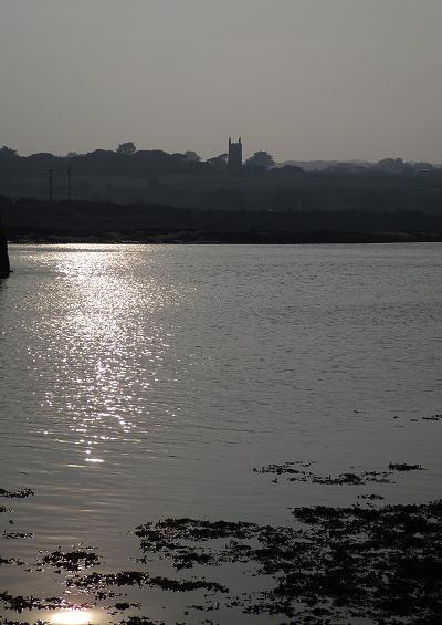 Habitat Shoreline Estuaries Intertidal Zones