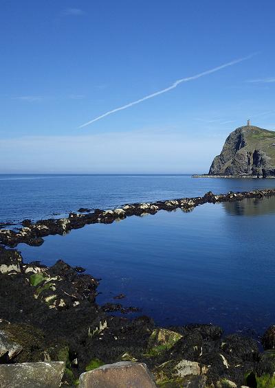 Notes on Depastrum cyathiforme stauromedusae Port Erin Poolvash Port st mary Isle of Man sites David Fenwick 2014 Images